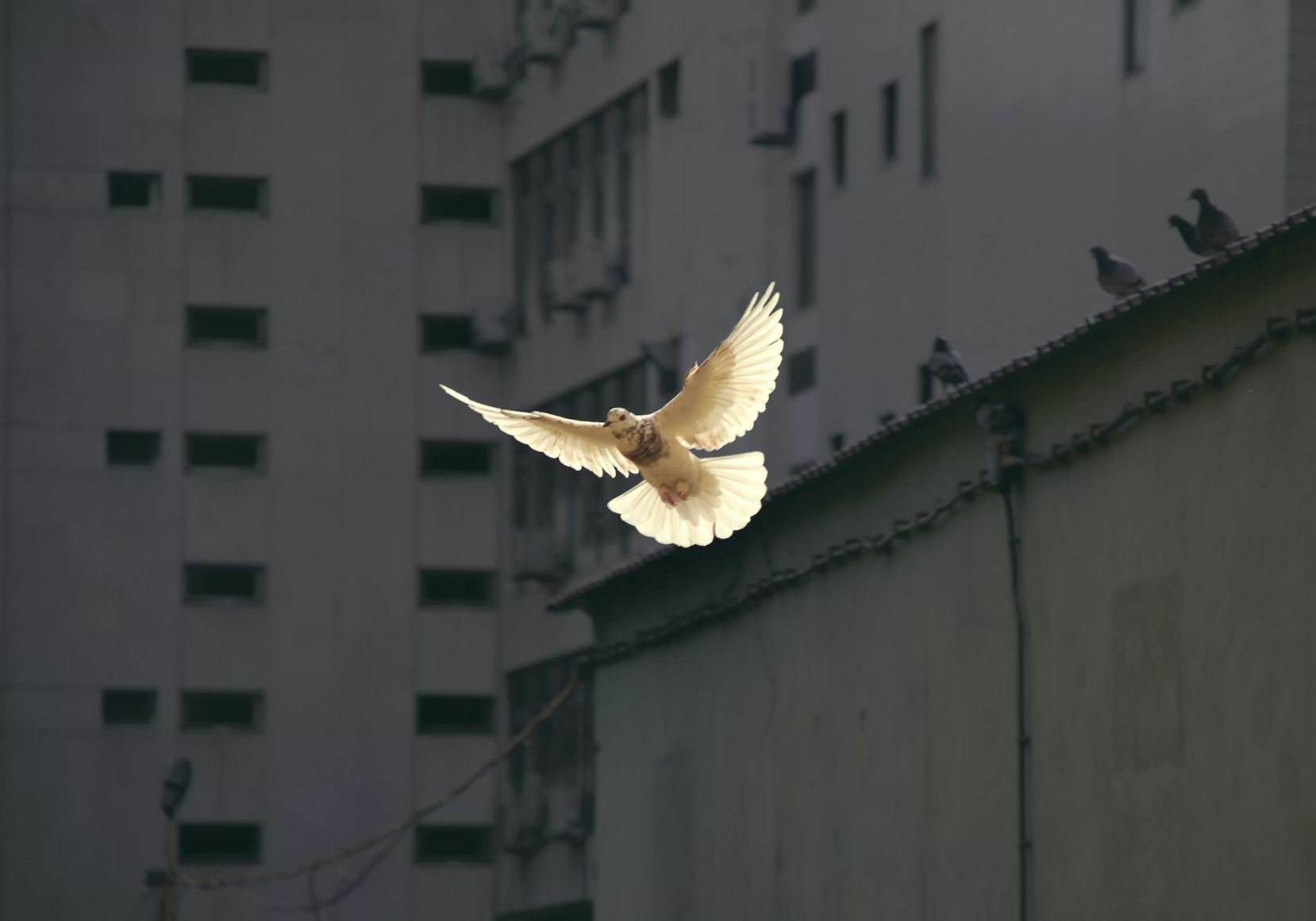美伊临时停火能带来和平吗? - Hongkong Web3 Media